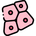 hospital,healthcare and medical,education,white blood cell